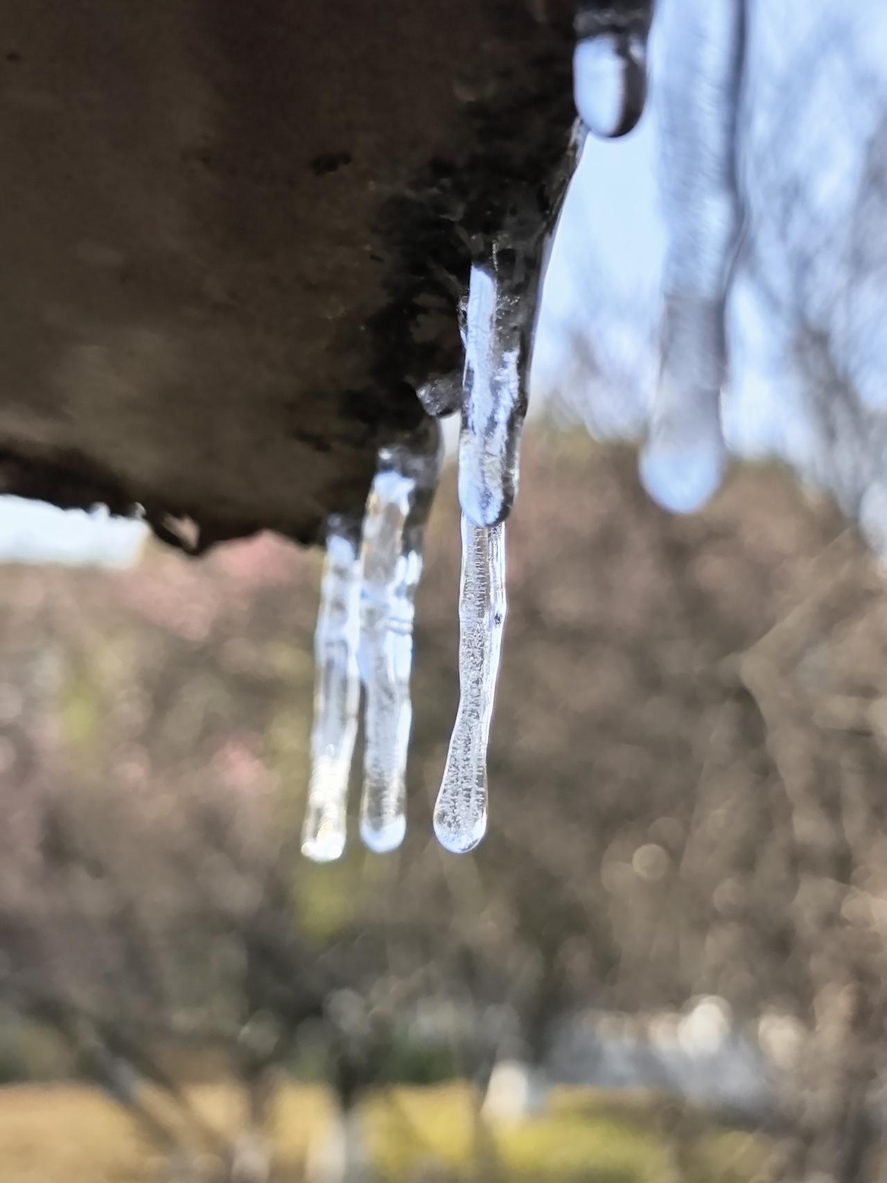 湖州，居然也滴水成冰了！整个白天几乎都没上过0℃线，跟躺在“冰窟窿”没两样。