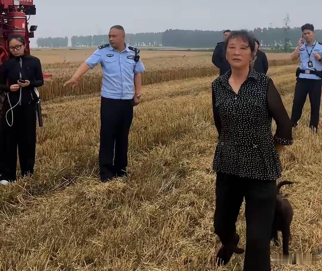 堪比“提灯定损”事件的“割四赔五”事件横空出世。湖北襄阳大妈的操作，环环相扣，