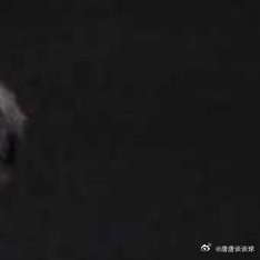 01月17日国乒结束WTT多哈球星赛男单第二轮的所有较量，其中20岁全国冠军小将