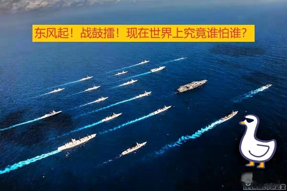 看到大连海事局发布的那条航行警告没？渤海海峡和黄海北部有一部分水域，从11月23