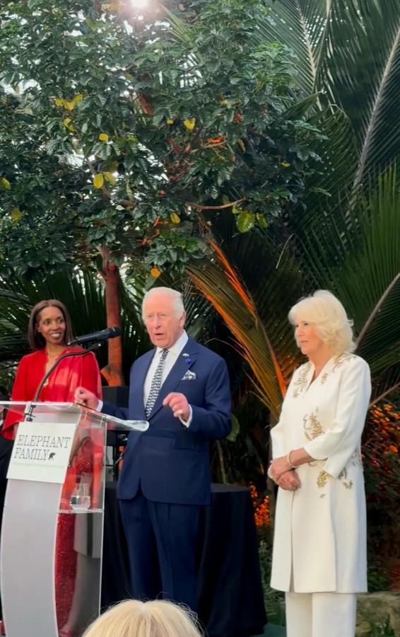 李湘母女这次参加的是英国皇室主办的"大象家族艺术与保护之夜"慈善晚宴，查尔斯国王