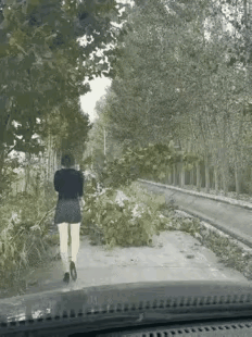 她干甚去了[笑着哭]