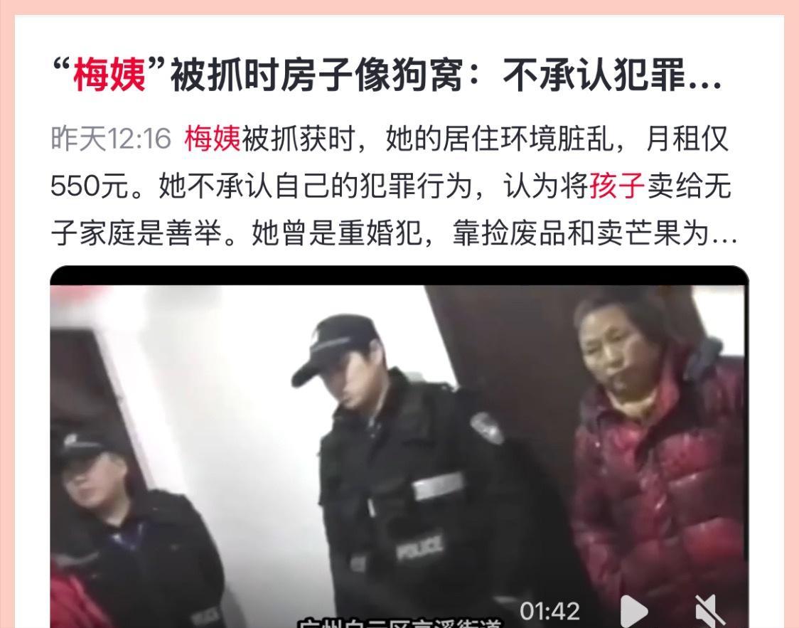 那个拐卖小孩的梅姨，我以为她拐卖小孩能赚巨资，结果他拐卖一个小孩的收入才几百到一