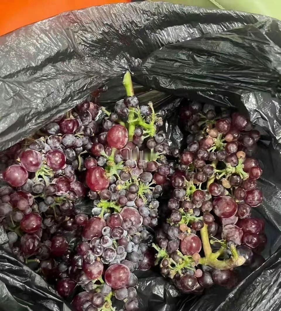 没见过这么抠的邻居，不想送就别送了！