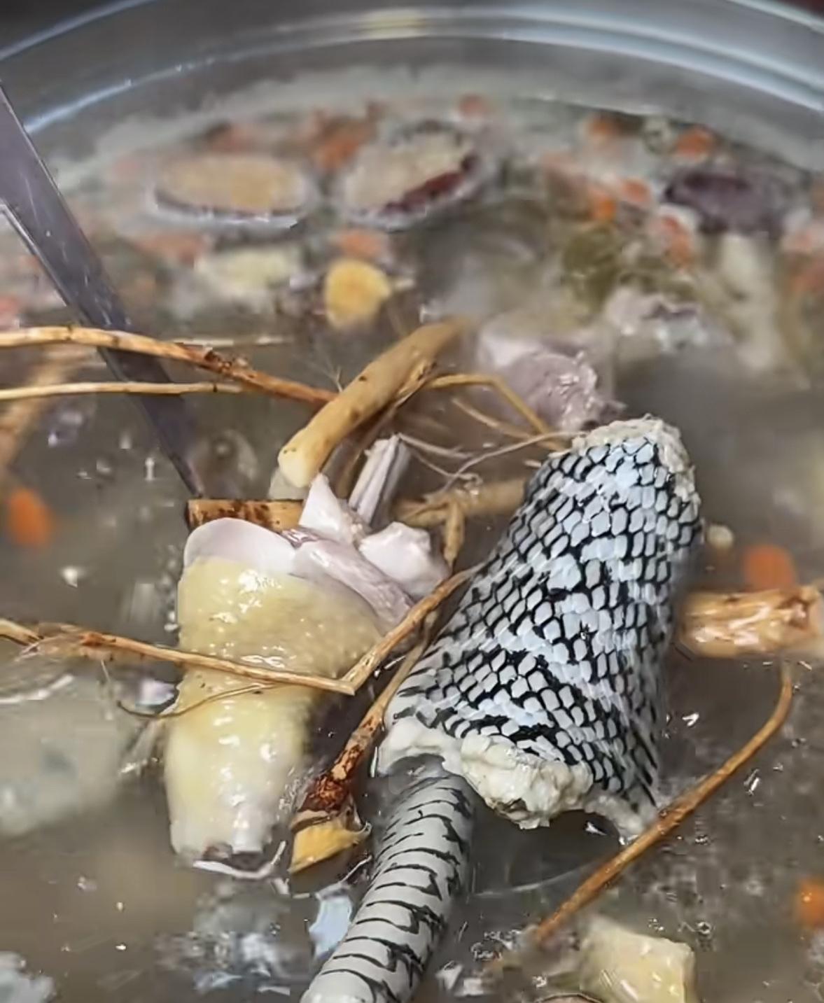 论吃，没人干得过广东佛山南番顺！第一次吃蛇也是佛山，教练带去的。饭店老板是个实