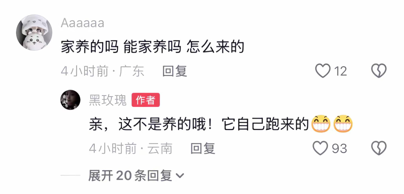 这个东西进我家，我会宣布房子的主人是它
