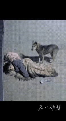 世间最不嫌贫爱富、忠心耿耿的，估计就是狗狗了。​网友评论：​上帝之所以不让狗