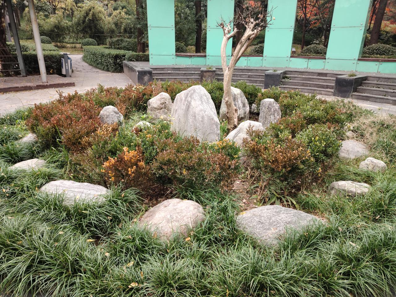 我在一座公园从事保洁工作。平日里，我都是径直前往打卡处打卡，清洁工具也一直放置在