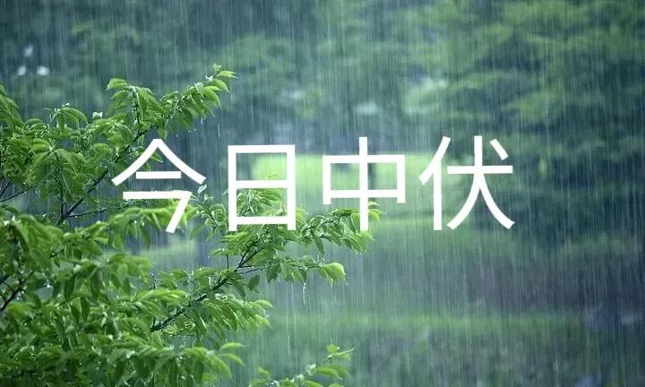 “秋后雨水有多大，就看中伏”，今日中伏，今年秋季雨水多吗？答案来了#头号创作者激