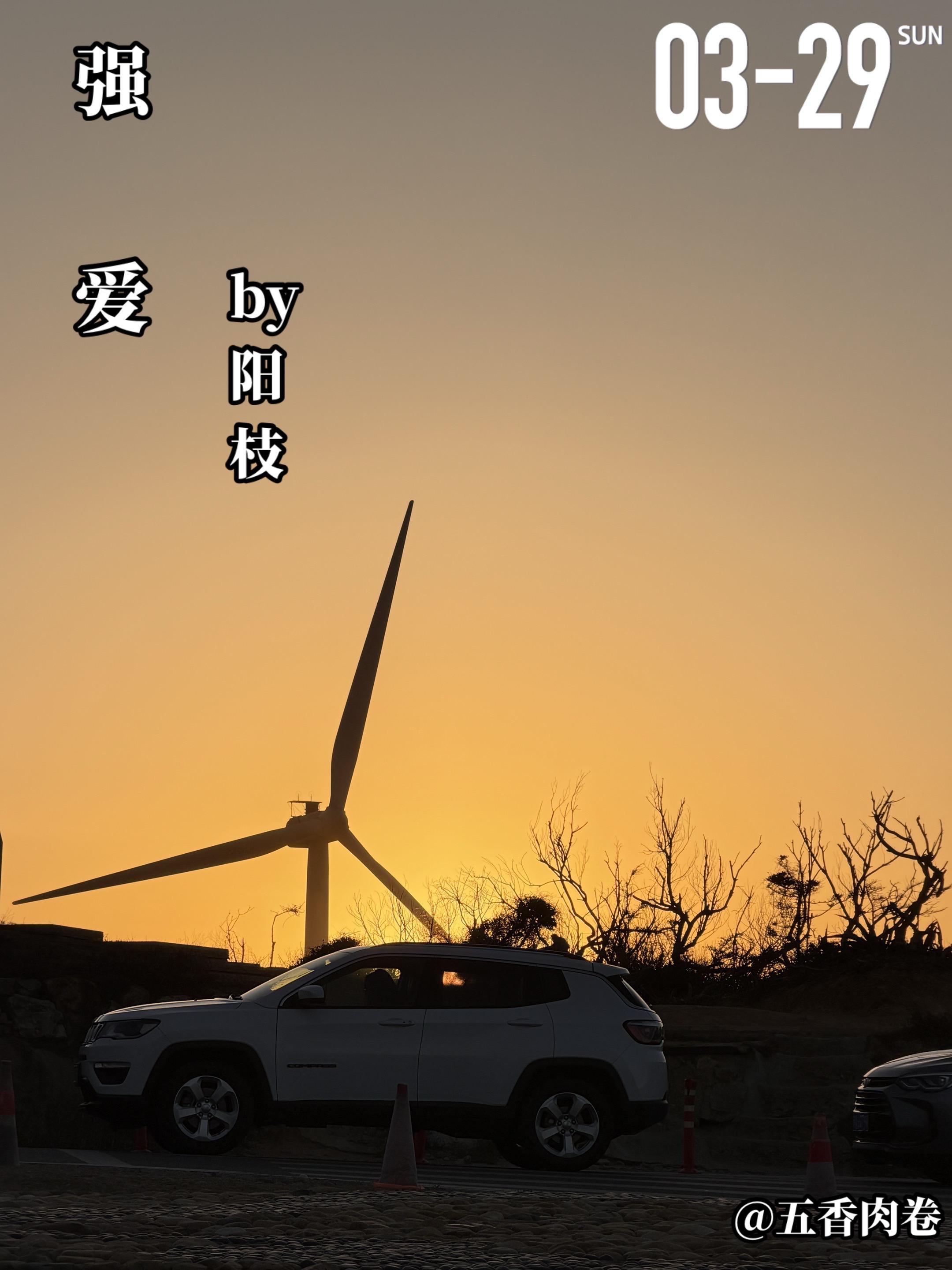 《强爱》by阳枝。四年前，莫阳昕（女主）在路边捡到醉9的秦川（男主）...