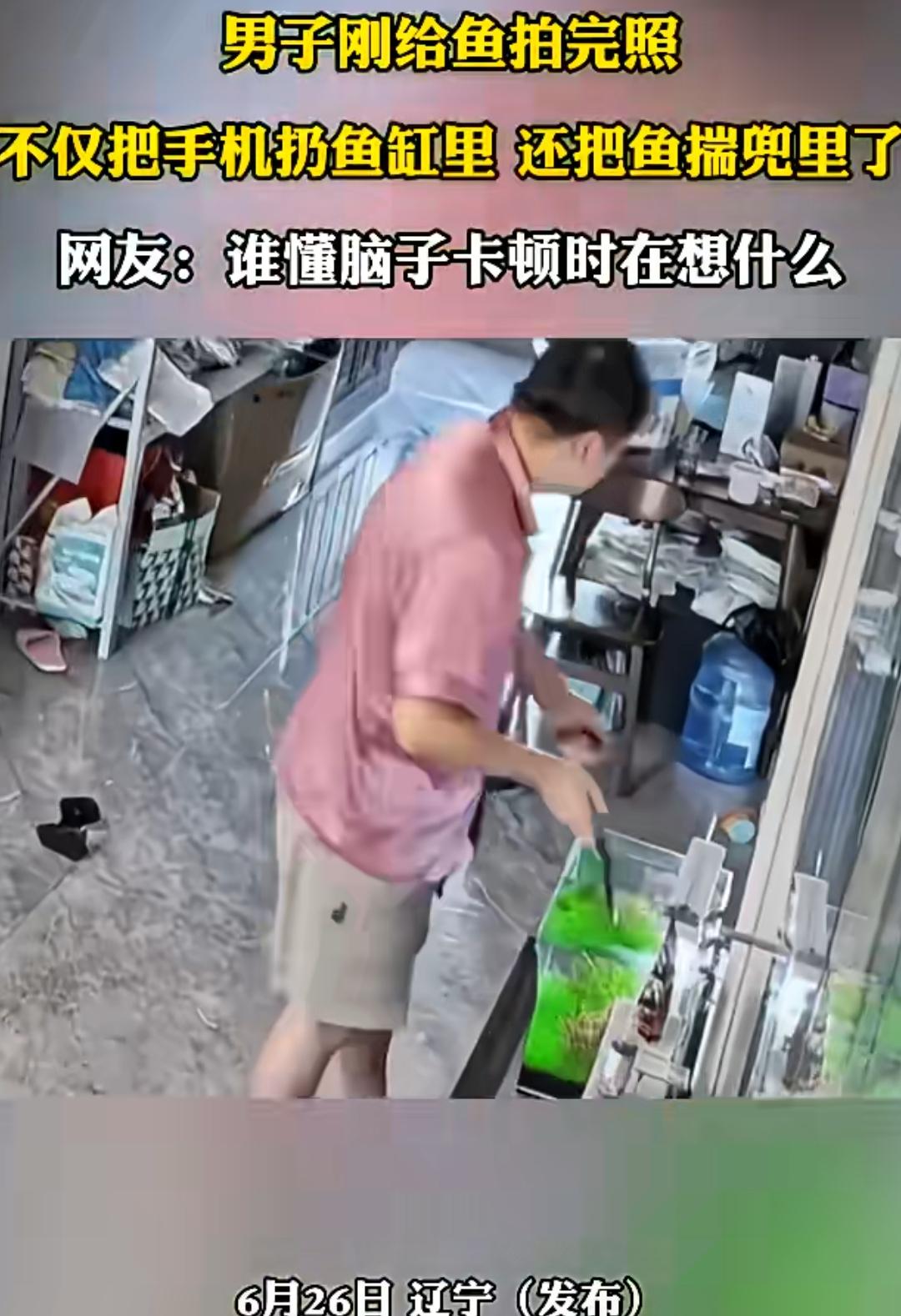 笑不活了！辽宁，一男子刚给鱼拍完照，很丝滑地把手机扔鱼缸里，还把鱼揣兜里了。这一