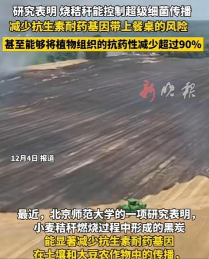 谁能料到？曾因“制造雾霾”遭各地明令禁止、农户一烧就挨罚的秸秆焚烧，如今却曝