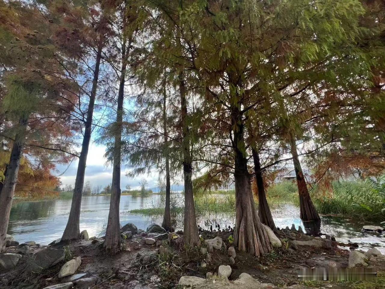 周六武汉地铁客流量达到421万人次以上[呲牙笑][呲牙笑][呲牙笑]爆料身边事地