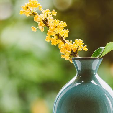 你的内心装着什么，将会过什么样的人生 我们的人生就像一个杯子。当你在这个杯子