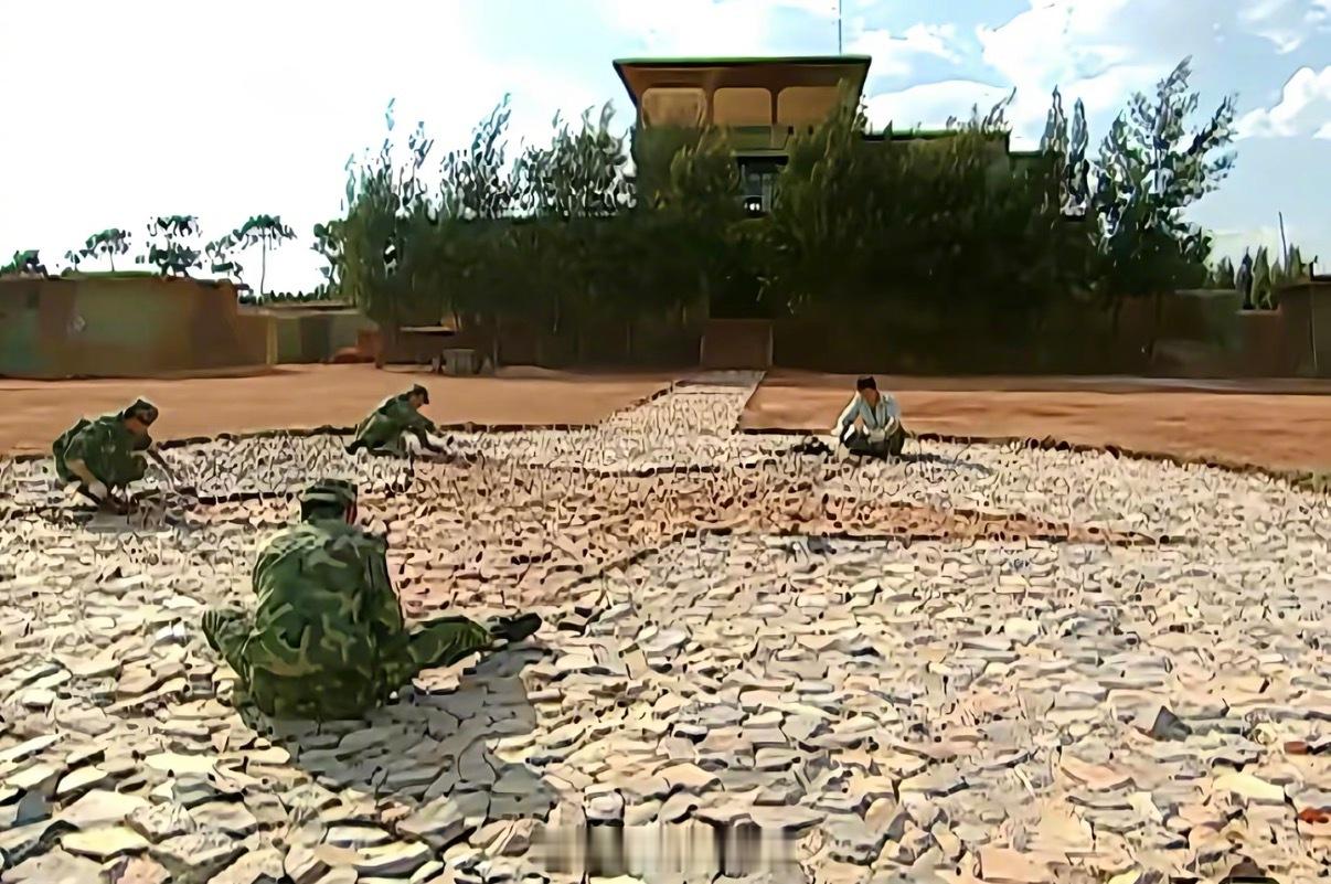 天苍苍，野茫茫，草原旁，驻训场全体班长的坟墓，所有孬兵的天堂