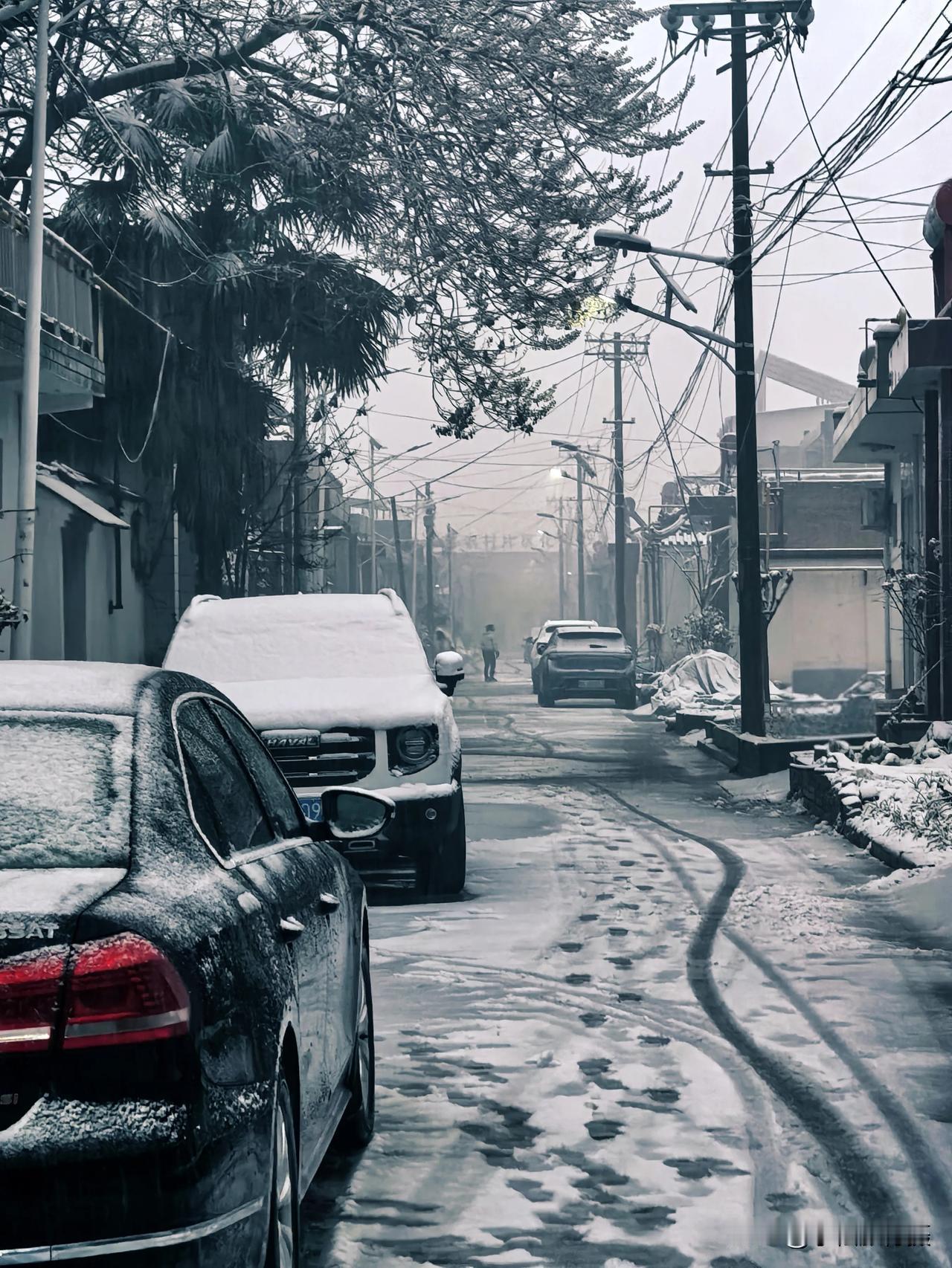 下雪了！我说的是西安！