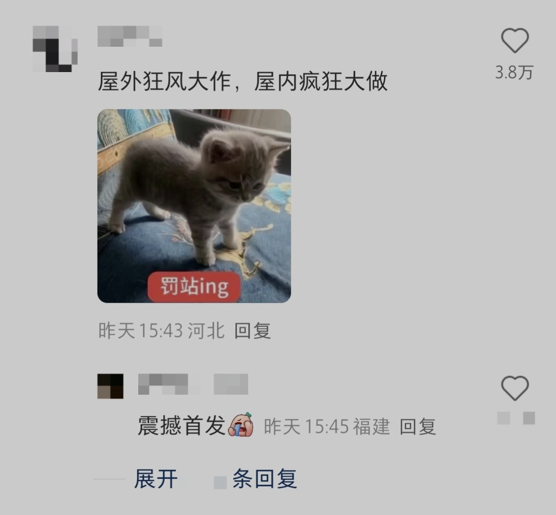 网友：台风天，商超连避孕套都快被抢完了……网友A：屋外狂风大作，屋内疯狂大作。网