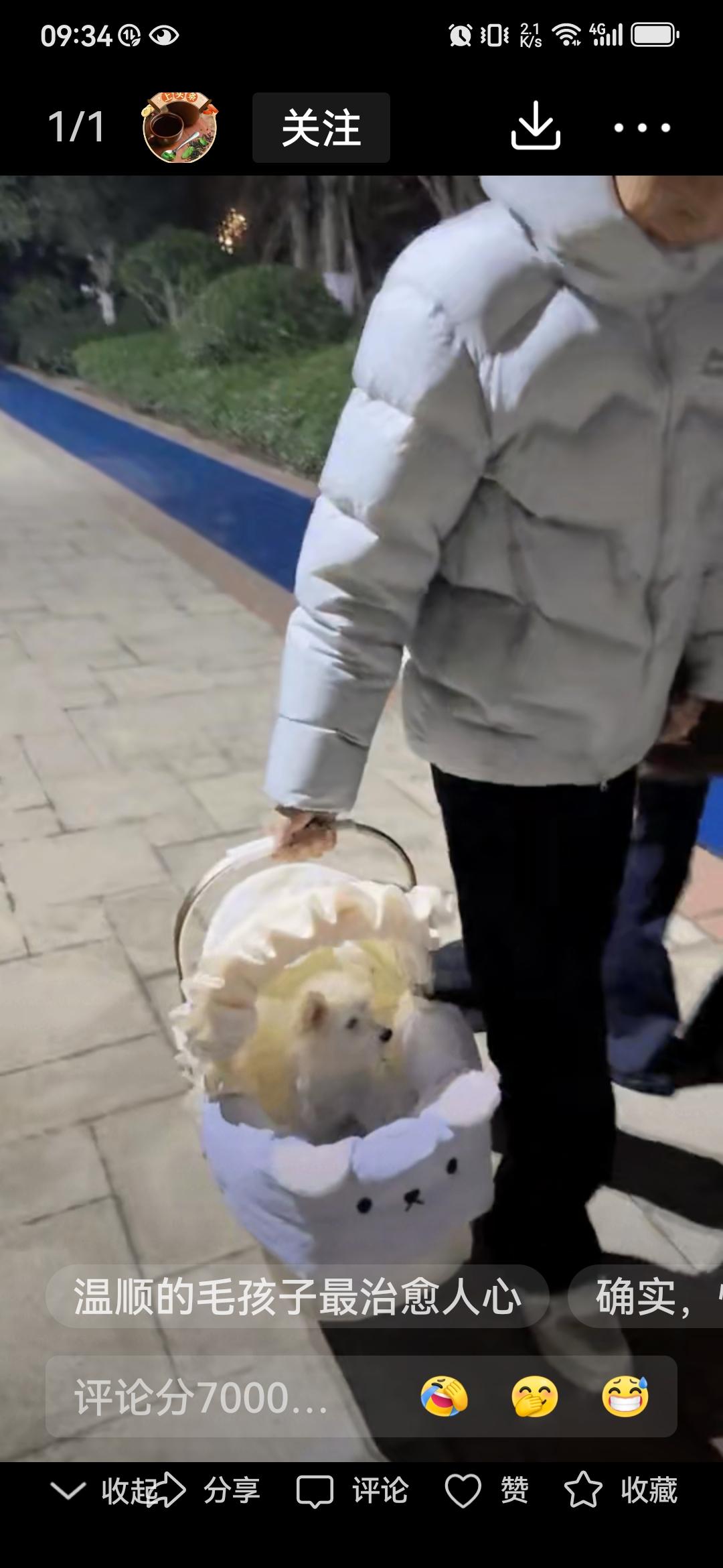 如此溺爱，一看就是亲生的！