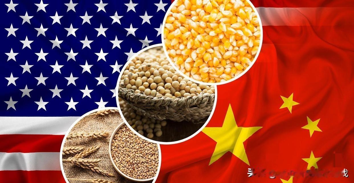 中国取消订单，美国这次是真急了这回老美是真的坐不住了。12月17号那