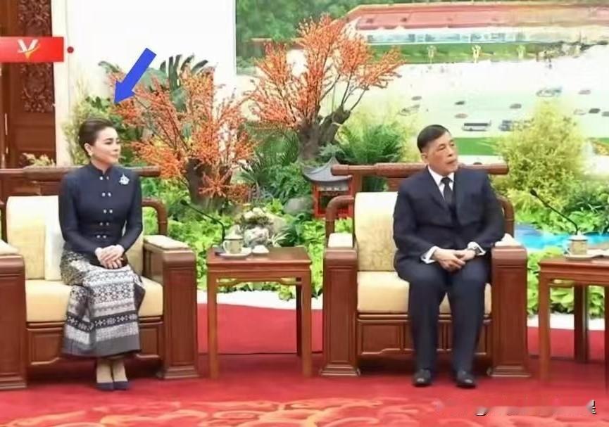 泰国王后凭一个坐姿就火了？最近中泰会谈，王后全程陪在国王身边。最吸睛的不是谈话