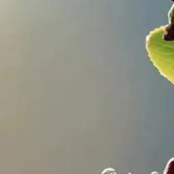 正能量正能量没有人天生幸运。即使是那些天赋异禀的人,也会有力不从心的时