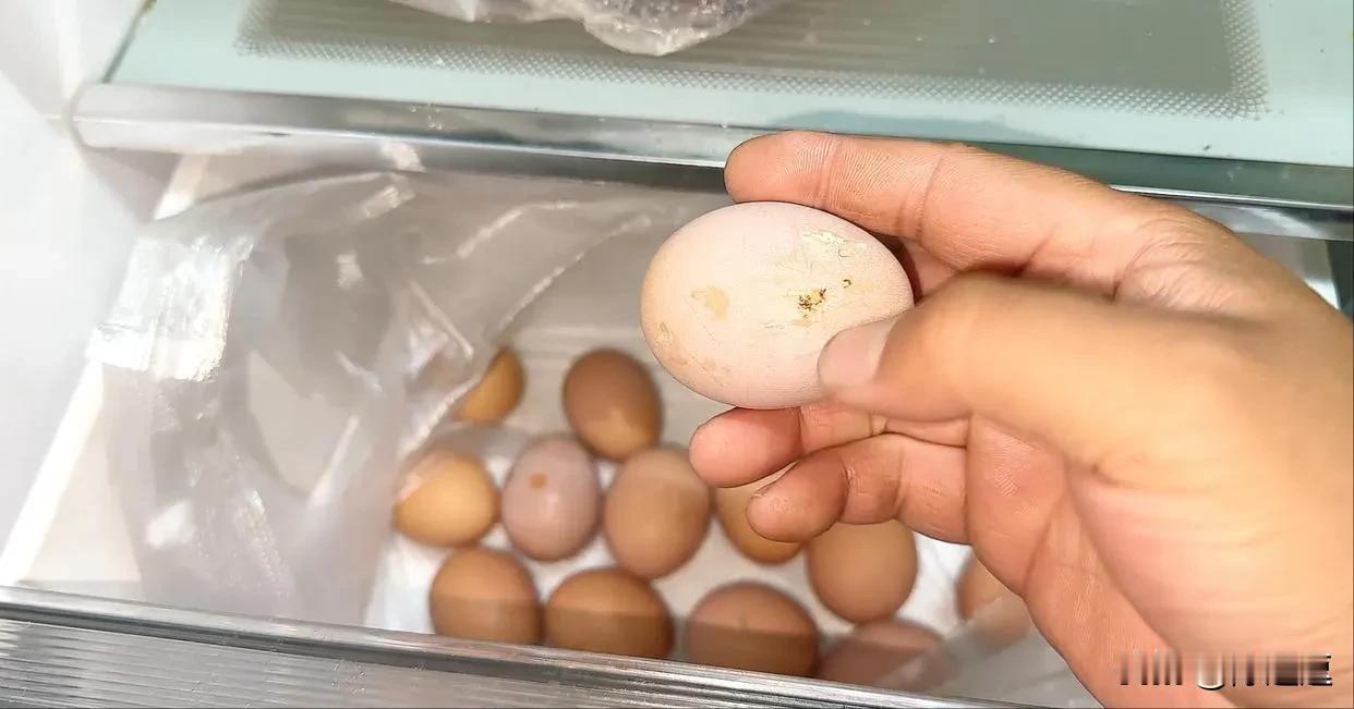 今天才知道买回来的鸡蛋不能放冰箱？那么这个鸡蛋该怎么存放呢？这么多年的习