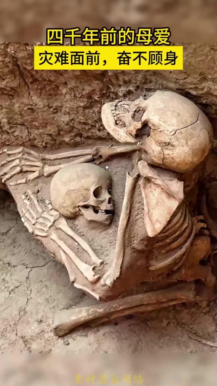 喇家遗址出土的母亲护子遗骸，是4000年前地震洪水灾难的见证。母亲躬身将孩子紧紧