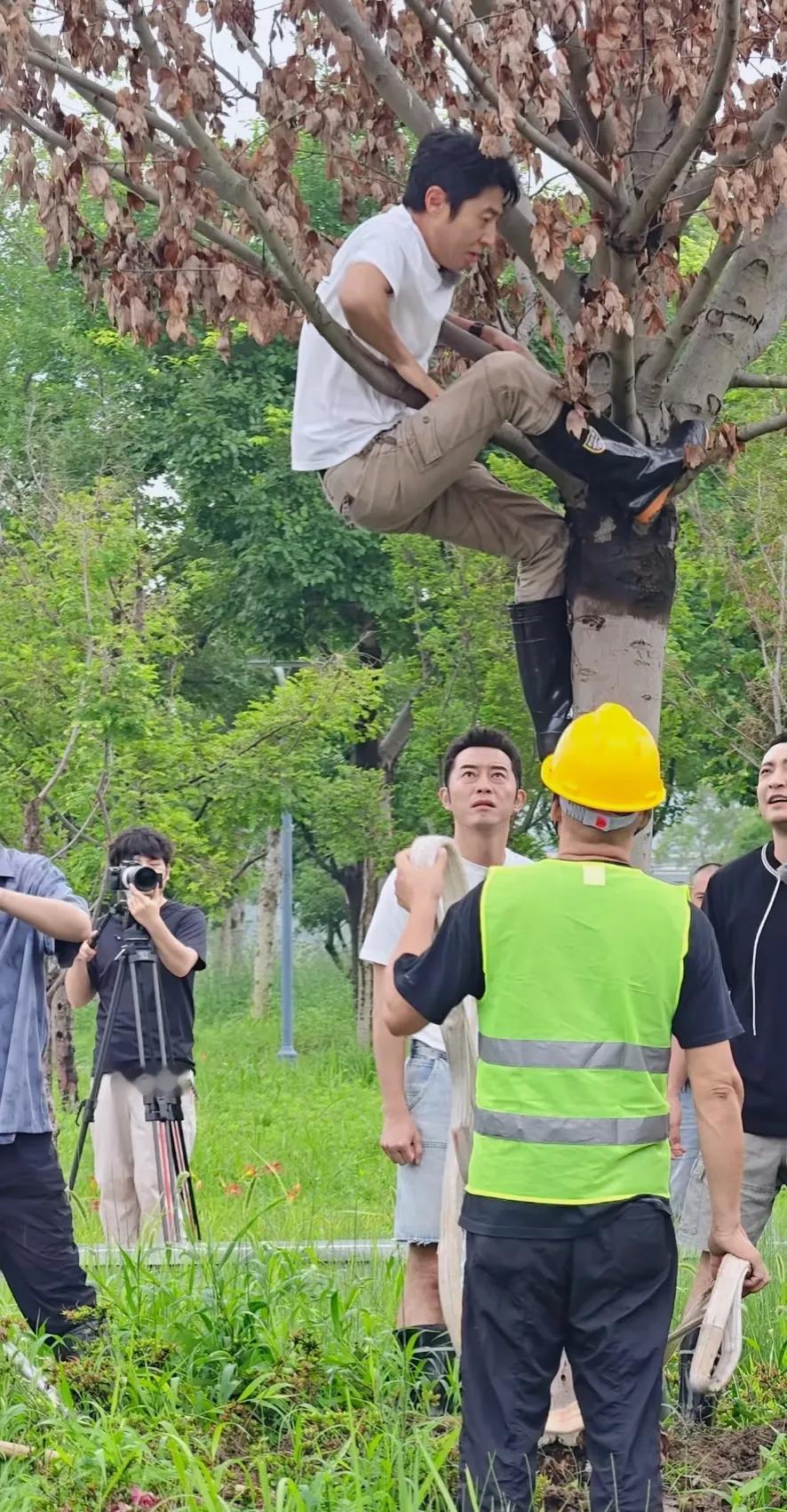 老萨爬树，沙溢楞出了表情包！不理解，但尊重[笑着哭][捂脸哭][捂脸哭]