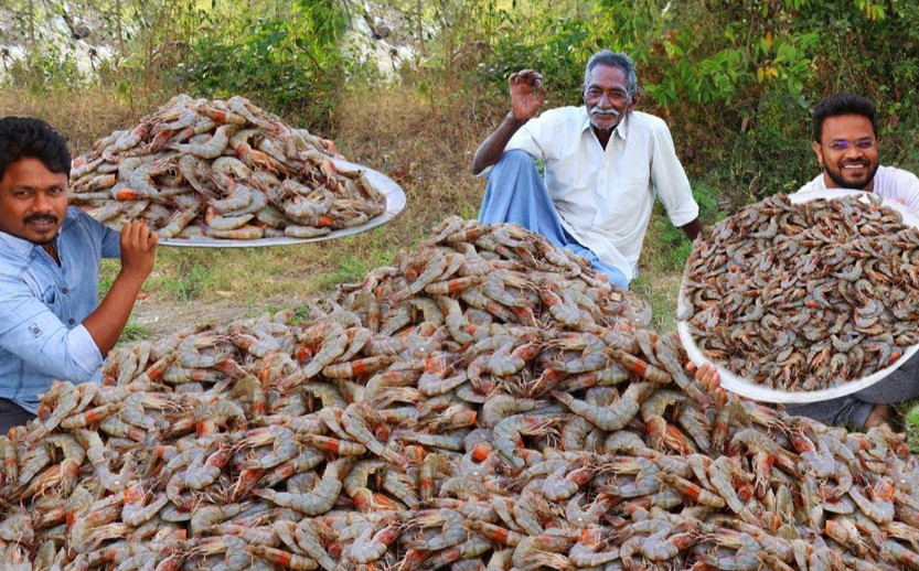 日本水产品被禁止对华出口后，印度媒体欣喜若狂：机会终于来了！11月19日，一则来