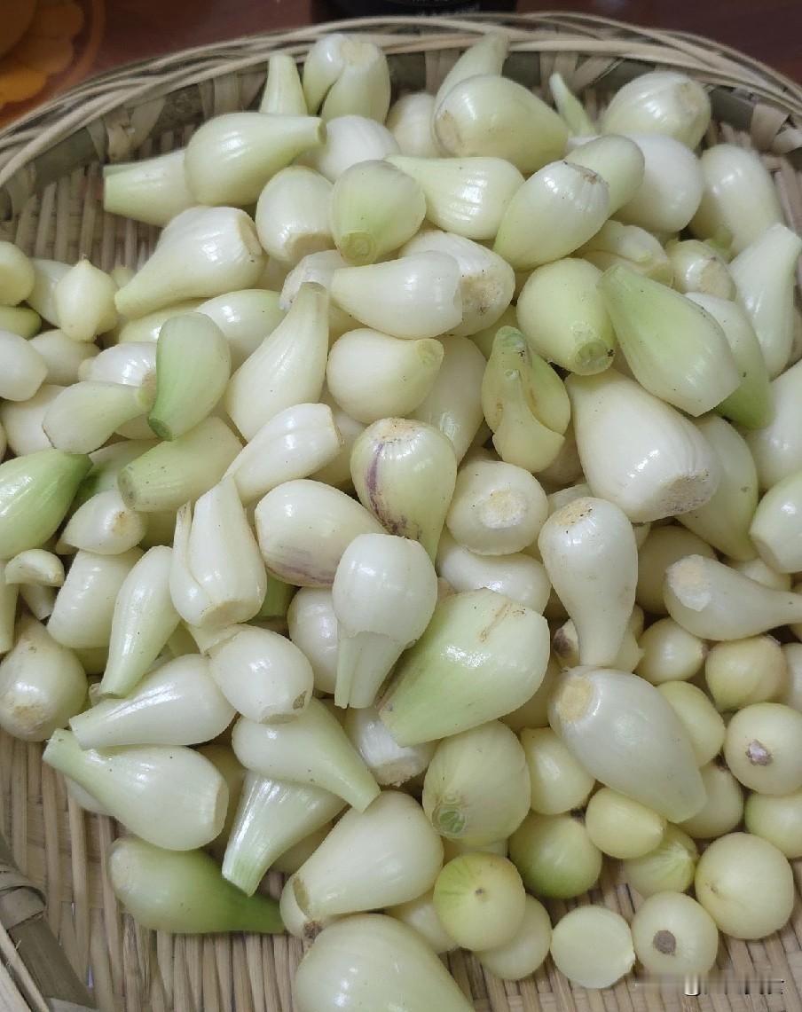 冬天，遇到这菜别手软，一次买30斤，简单一泡，随吃随取特省事！冬天逛菜场，别错