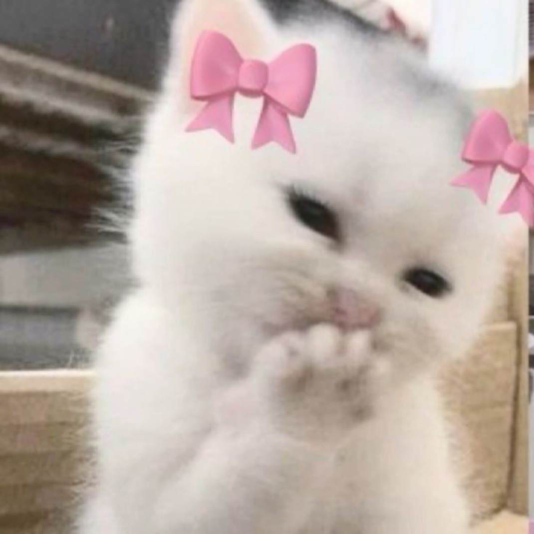 分享图片​​​