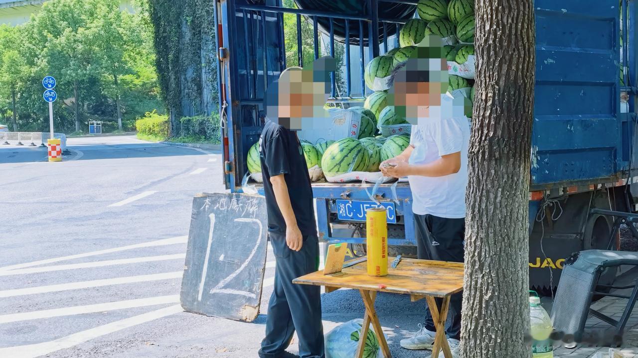 株洲田心立交桥下的西瓜便宜得不敢买，每斤只要1.2元。西瓜在这个夏天是最好消