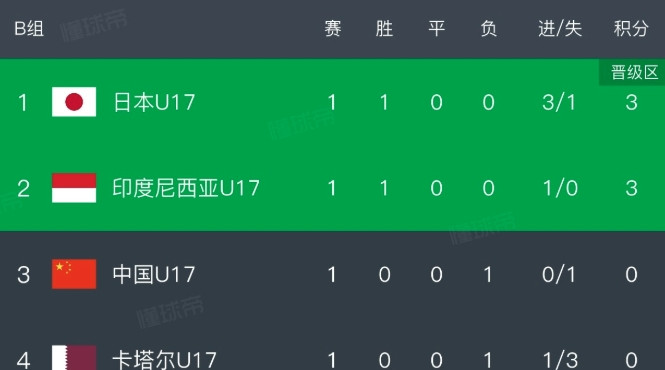 2027亚洲杯各地区参赛球队数量排名