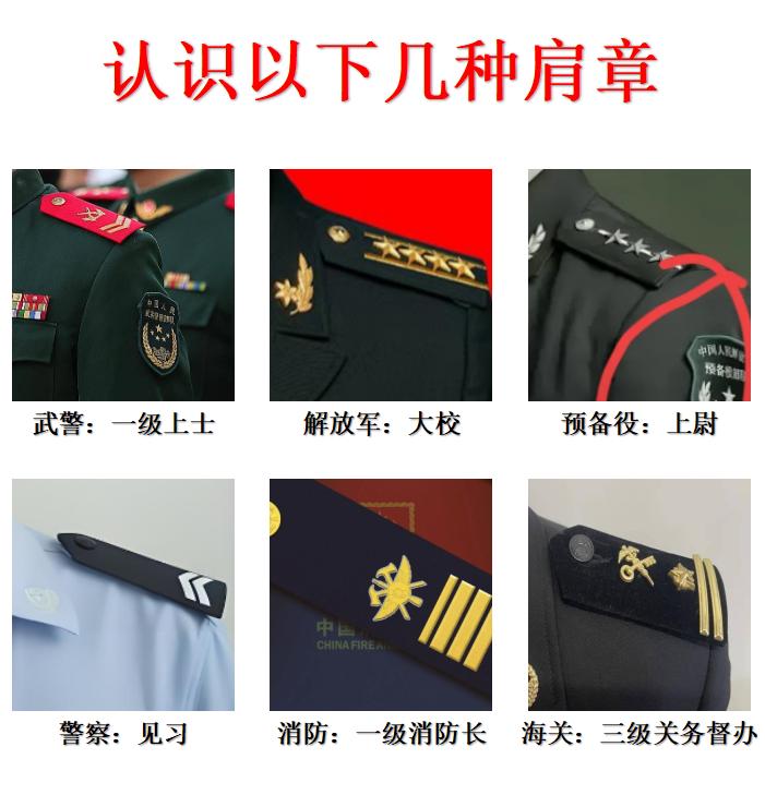 知识科普：认识图中的几种肩章？如图所示：今天带你认识6款臂章，分别是武警、解