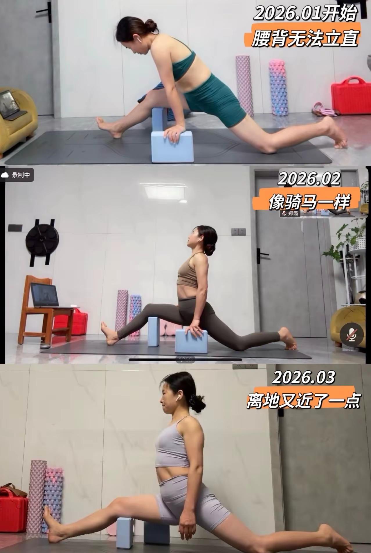 零基础线上瑜伽8个月总结反思：接纳自己。本人亲身经历告诉大家不要相信网上说的七天