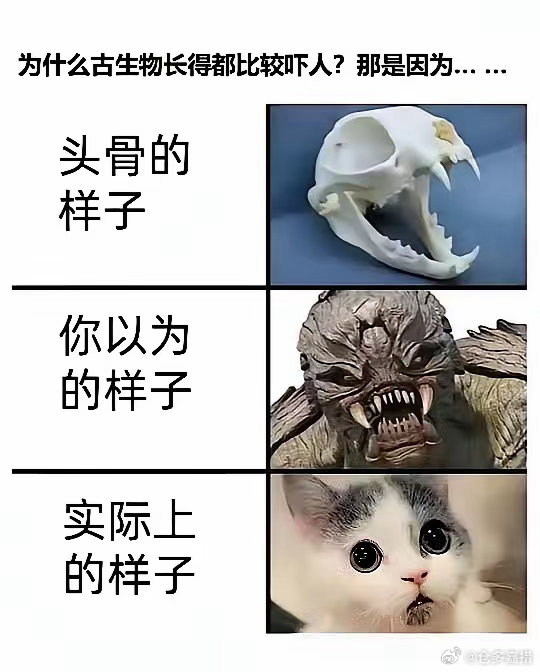 谁说霸王龙是一只大鸵鸟来着！​​​