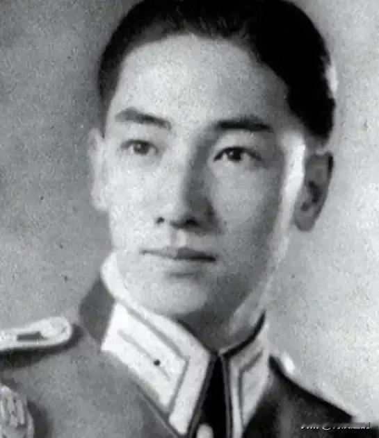 1997年，蒋纬国病逝，宋美龄派人查账，发现养了81年的儿子，身后竟是一堆债务。