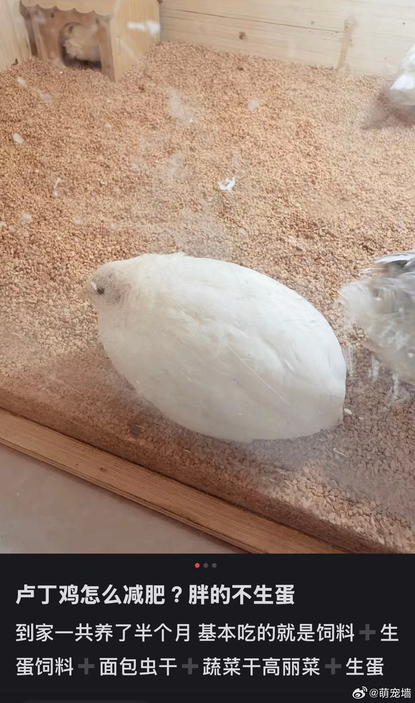 卧槽这个太搞笑了​​​