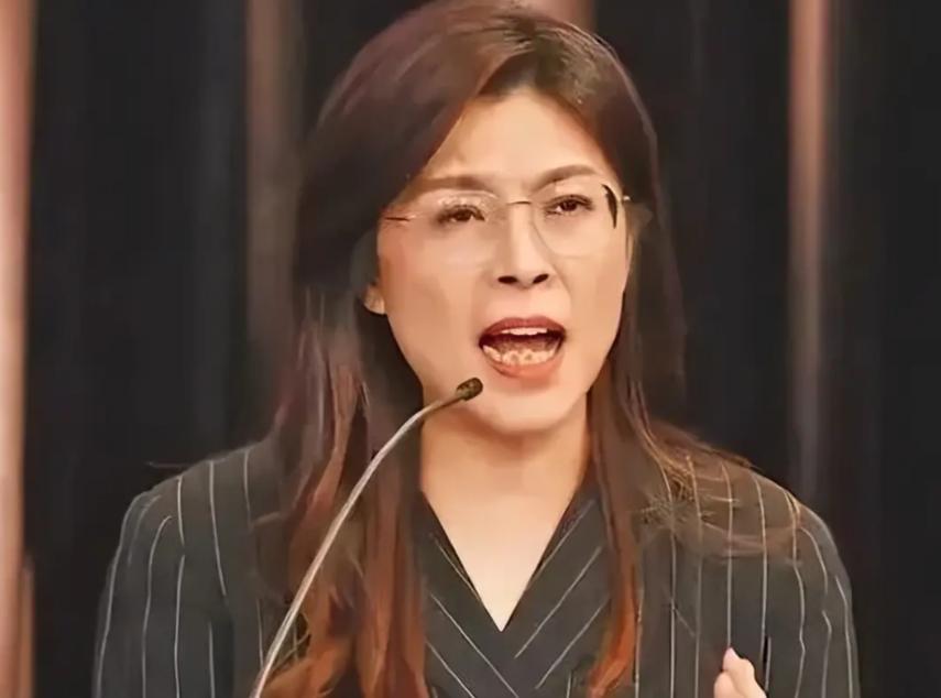 美国最担心的一幕出现了：美日德三国都拦不住，郑丽文当众立下重誓。所有人都看明白了