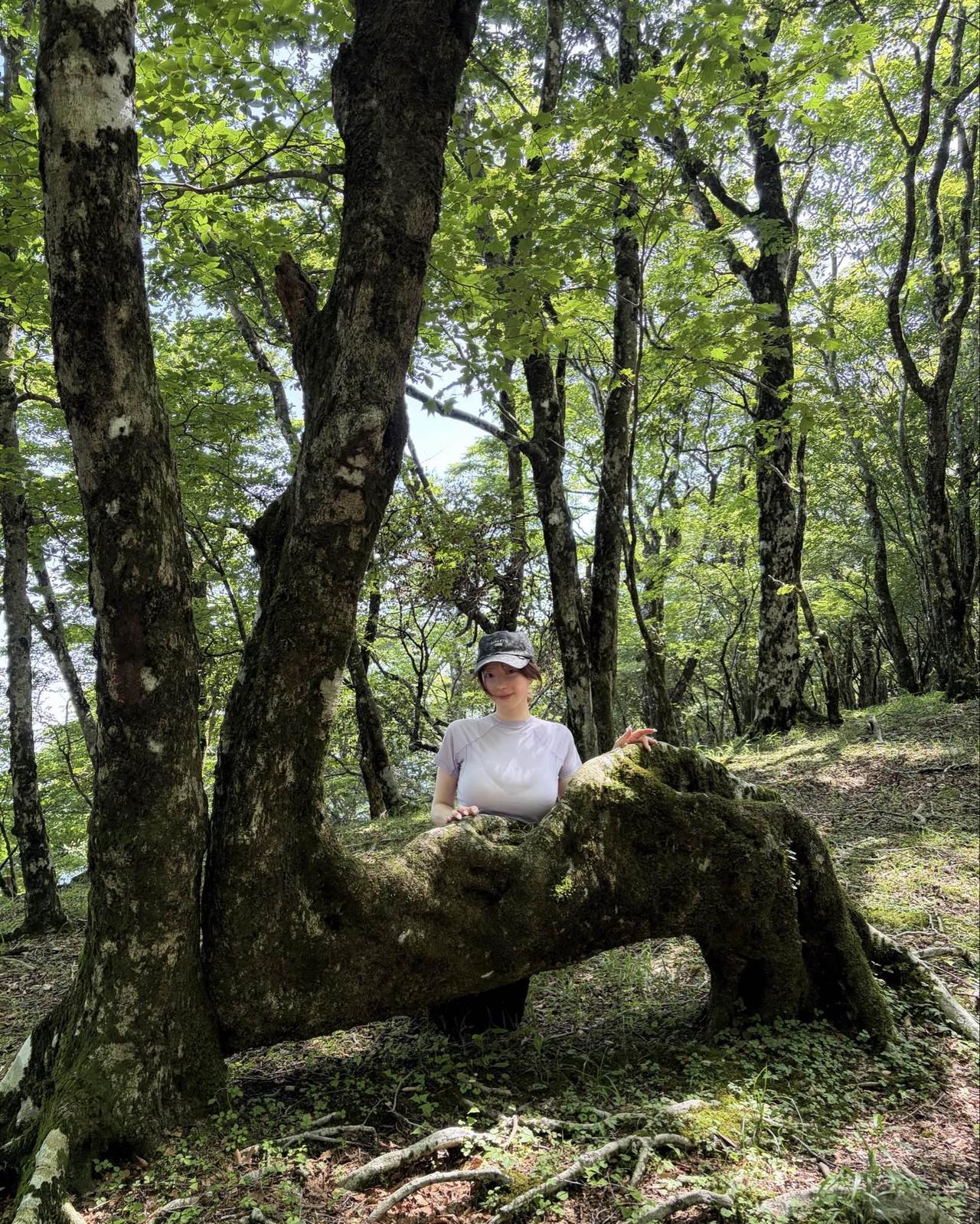 喜欢登山⛰️