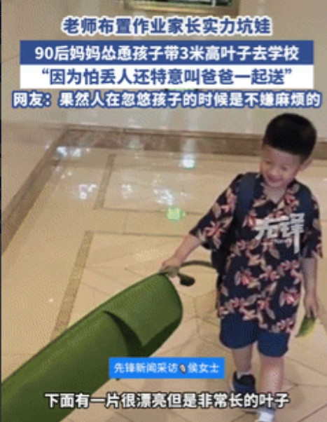 用实力在坑娃！福建福州，老师布置作业让小朋友带两片叶子去学校，一90后妈妈便怂恿
