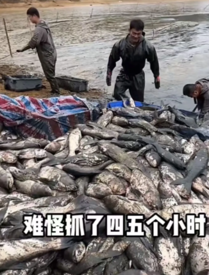 人间自有真情在！湖南衡阳，19岁男生爸爸因病去世，妈妈也去世多年。而爸爸一生穷
