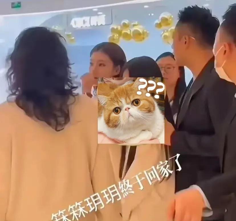 汪小菲带两个孩子回北京需要征得S妈同意吗？汪小菲带两个孩子回北京又引起了S家
