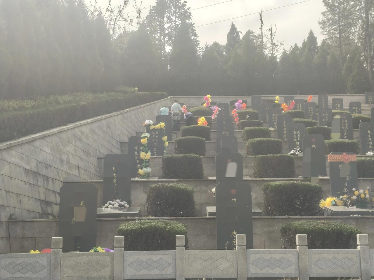 你去祭扫过烈士陵墓吗?去过，昨天刚去过