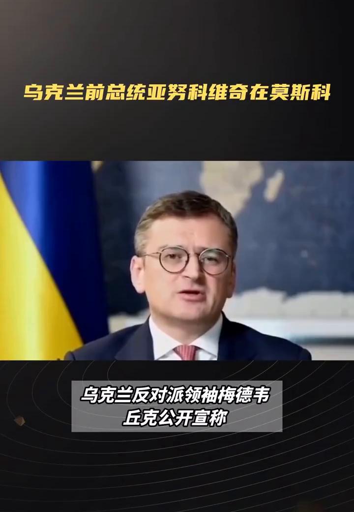 乌克兰反对派领袖惊人言论：加入俄罗斯是唯一出路乌克兰反对派领袖梅德维秋克公开宣