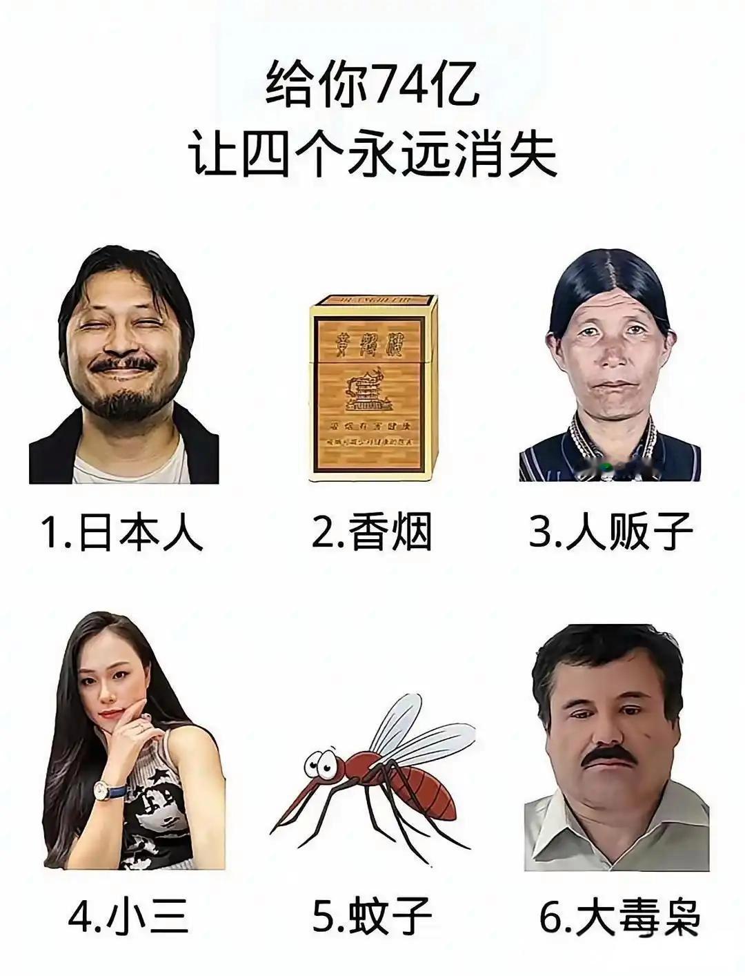 如果是你，你会怎么选择？