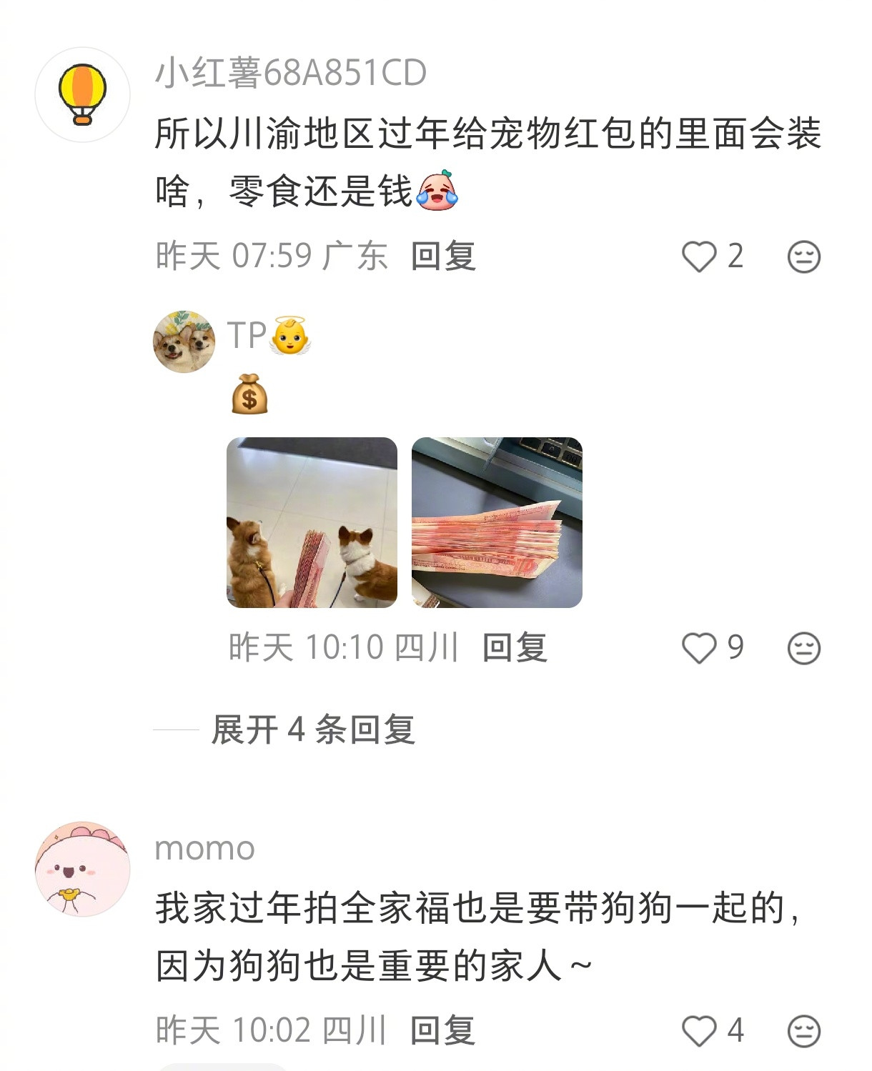 川渝地区对小狗的包容度