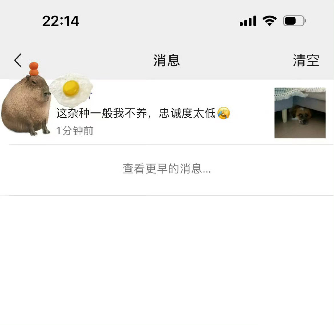 发了一条自家的狗狗，被前老板内涵了