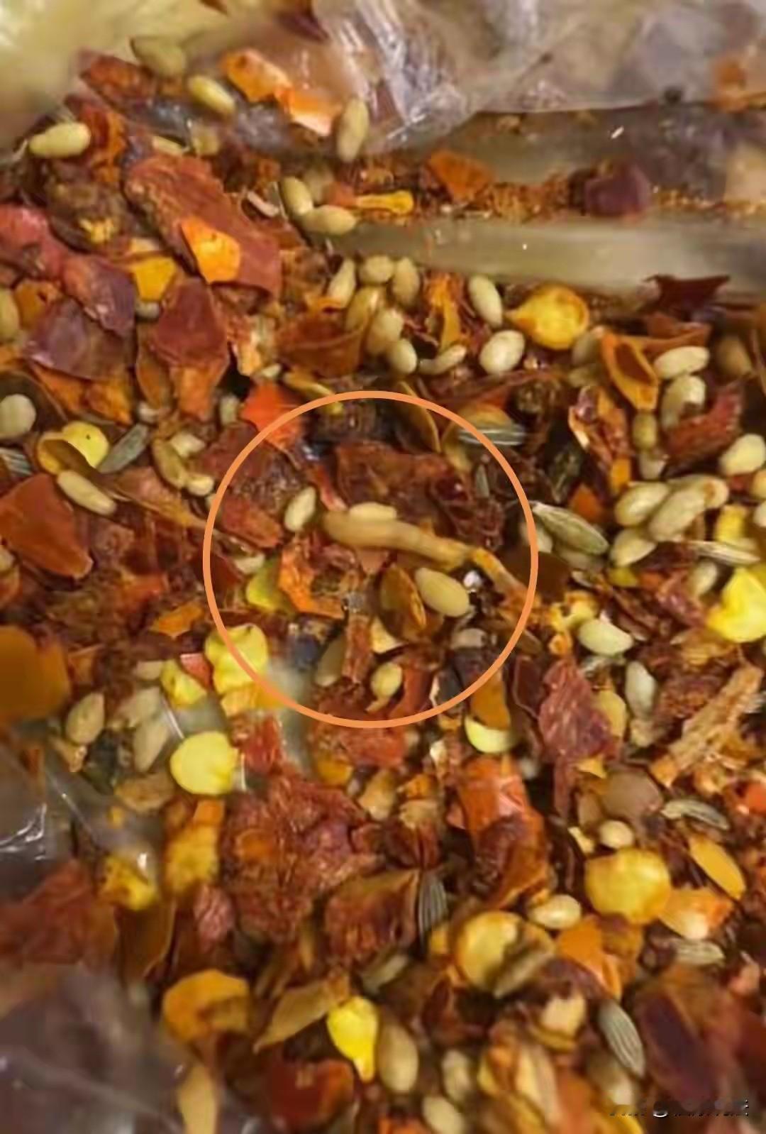 吉林吉林市，男子花37.59元点了一份烧烤肉串外卖，吃肉串时，他在蘸料里发现白色
