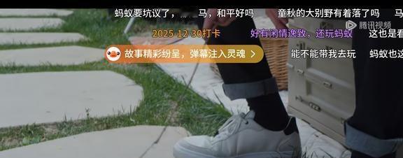 《轻年》搞笑弹幕第二弹《轻年》搞笑弹幕第二弹蚂蚁都要抗议了[doge]秋秋猫